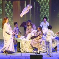 BWW Review: SOUND OF MUSIC at Palm Canyon Theatre