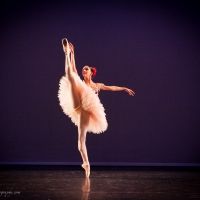 Kozlova's NUTCRACKER SUITE Comes to Symphony Space in December