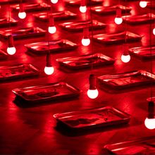 LA Art Show to Return to the LA Convention Center This Winter