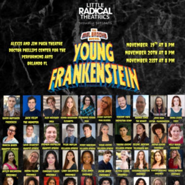 YOUNG FRANKENSTEIN Will Open at Doctor Phillips Center in November Photo