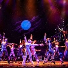 BWW Review: CATS at The American Theatre Guild, Your Night Will Be a Memory Too