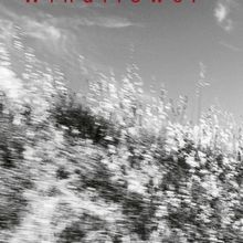 Ayumi Tanaka, Thomas Morgan & Thomas Strønen Release 'Windflower' on ECM