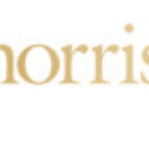 Morris Arts Conjures Festive Fall Fun At PUMPKIN ILLUMINATION
