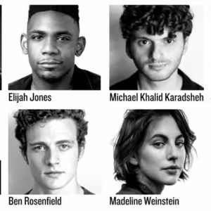 Full Cast Set for THE ALLY at The Public Theater Starring Josh Radnor & More
