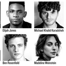 Full Cast Set for THE ALLY at The Public Theater Starring Josh Radnor & More