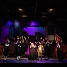 BWW Review: SOMETHING ROTTEN at The Phoenix Theatre Company