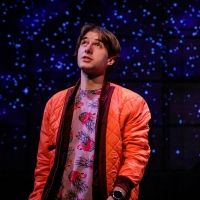 BWW Review: THE CURIOUS INCIDENT OF THE DOG IN THE NIGHT-TIME at SHEA'S 710 Theatre
