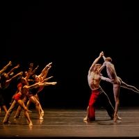 BWW Review: COMPLEXIONS CONTEMPORARY BALLET: SNATCHED BACK FROM THE EDGES at The…