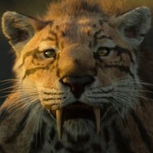 Video: Watch Netflix's LIFE ON OUR PLANET Documentary Series Trailer