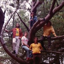 UK Psych Cadets Floral Image Release New Single 'The Score'