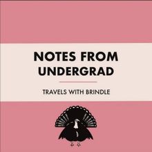 Travels With Brindle to Release New Album NOTES FROM UNDERGRAD in June