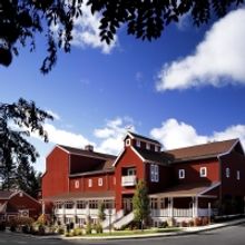 Westport Country Playhouse Launches Two Advocacy Groups