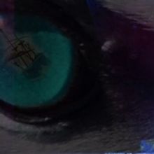 Internationally Acclaimed ALBATROSS Opens in Dublin Next Week