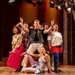 Review: A CHORUS OF DISAPPROVAL, Salisbury Playhouse