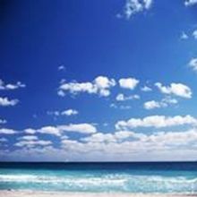 The Chamber Music Society Of Williamsburg Presents Formosa Quartet