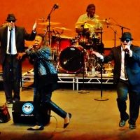 Blooze Brothers to Return to Raue Center For The Arts