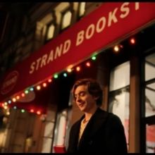 VIDEO: Watch the Official Trailer for DASH & LILY on Netflix