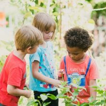 Celebrate Nature In April At The Museum Of Discovery And Science