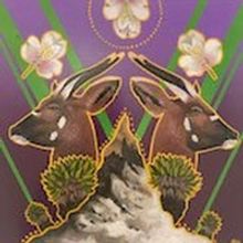 The Gallery at Mercer County Community College Hosts Mercer County Artists Exhibition