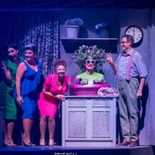 BWW Review: LA PICCOLA 'GRANDE'  BOTTEGA DEGLI ORRORI alla SALA UMBERTO