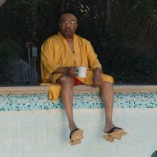 SWAMP DOGG GETS HIS POOL PAINTED Now Available on Digital
