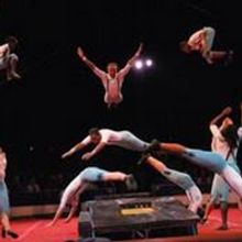 Circus Harmony Honored by FOCUS St. Louis