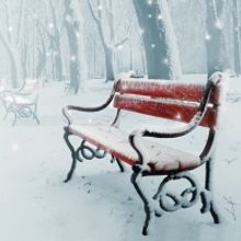 Adelphi PAC Presents John Cariani's ALMOST, MAINE