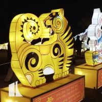VIDEO: Celebrate The Lunar New Year With REACH Winter Lanterns And More At The…