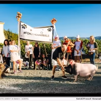Star Vintners And Top Innovators In Food And Wine Take The Stage At 9th Annual…