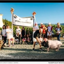 Star Vintners And Top Innovators In Food And Wine Take The Stage At 9th Annual WineaP