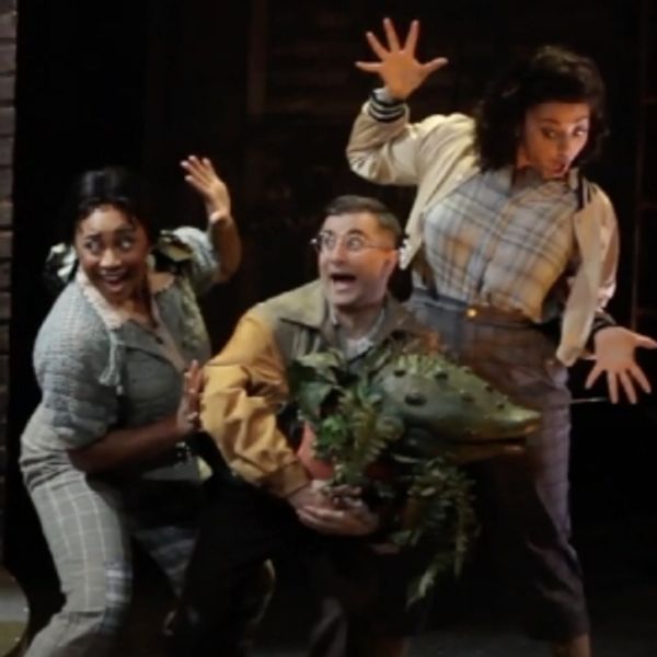 Video: Watch a Preview of LITTLE SHOP OF HORRORS at South Coast Repertory - Costa Mesa Theater Video