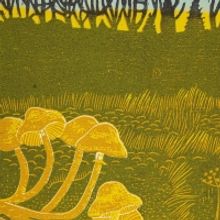 Rural Tapes Announces Self-Titled Debut Album