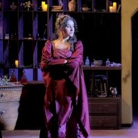 Review: LA TOFANA'S POISON EMPORIUM at Macha Theatre Works