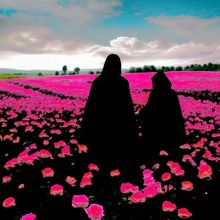 Cold Cave to Release New Album 'Passion Depression'