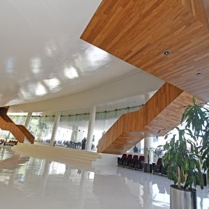 El Teatro Del Bosque Julio Castillo, Recinto Representativo En El ámbito Escénico…