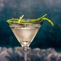 GINuary is Here-Our Gin Selections for January and Beyond