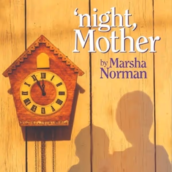 Review: 'NIGHT MOTHER at The Alchemy Theatre Photo