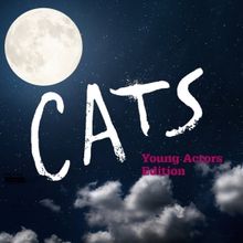 NiCori Studios & Productions to Present CATS: YOUNG ACTORS' EDITION