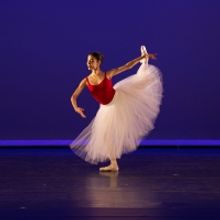 ABT Announces 2020 Spring Season At The Met