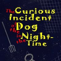 Casting Announced For TampaRep's THE CURIOUS INCIDENT OF THE DOG IN THE NIGHT-TIME