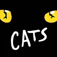 CATS Begins Performances At The Shawnee Playhouse This Month