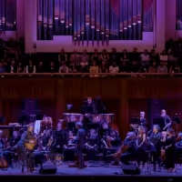 VIDEO: Iron & Wine Performs 'On Your Wings' With the National Symphony Orchestra Video