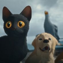 Academy Award Nominee FLOW Sets Max Streaming Debut