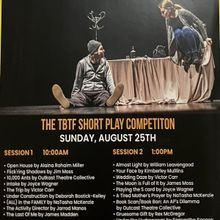 Review: The Tampa Bay Theatre Festival's 2024 Short Play Competition