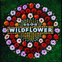 5 Seconds Of Summer Release New Single 'Wildflower'
