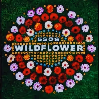 5 Seconds Of Summer Release New Single 'Wildflower'