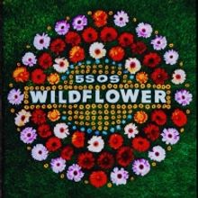 5 Seconds Of Summer Release New Single 'Wildflower'