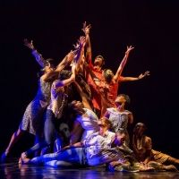 Dallas Black Dance Theatre Celebrates African American Dance Masters In a Virtual…