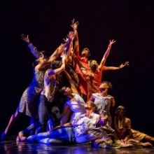 Dallas Black Dance Theatre Celebrates African American Dance Masters In a Virtual Per