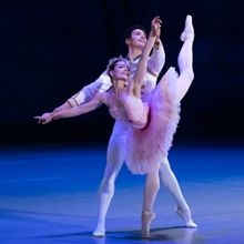 Review: THE NUTCRACKER at the the Artscape Theatre Centre Is a Lush, Festive Treat